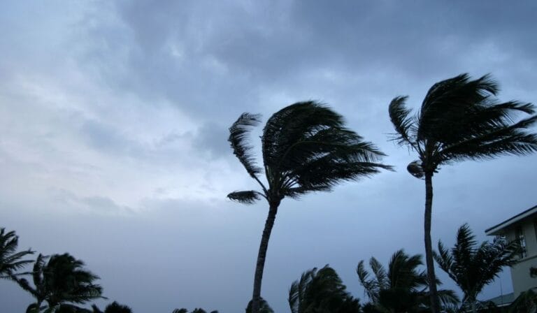 Furacão Milton e Desastres Naturais: A Crise Climática e Seus Impactos no Mundo
