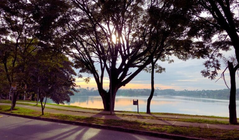 Utilidade Pública em Lagoa Santa: Informação, Conectividade e Bem-Estar para Todos