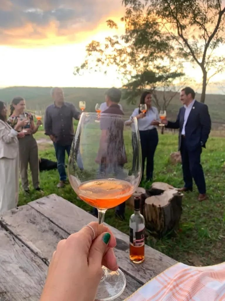 Vinhedo Girassol recebe comitiva chilena e fortalece o enoturismo goiano 2 Vinhedo Girassol fica a cerca de 60 km de Brasília e faz parte da Rota dos Pireneus de queijos e vinhos
