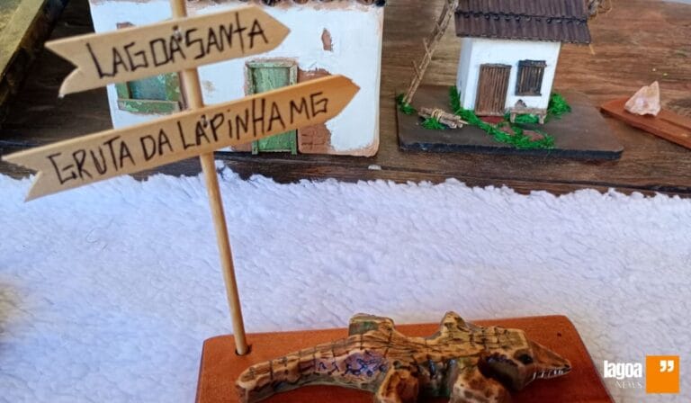 Artista de Lagoa Santa transforma restos de obra em arte