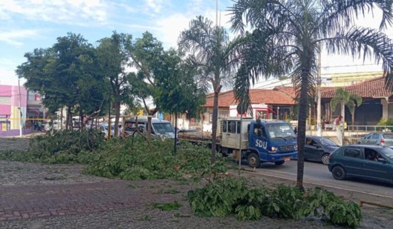Lagoa Santa: 50 árvores caíram por causa de 'microexplosão climática'