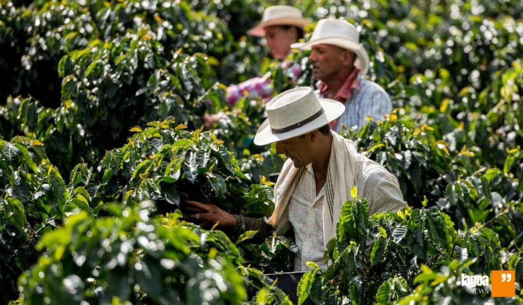Economia e Agropecuária em Minas Gerais: potência nacional em transformação 2 Regiões agrícolas em destaque