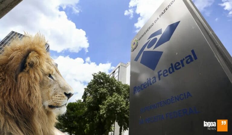 Imposto de Renda 2025: Tudo Que Você Precisa Saber para Declarar