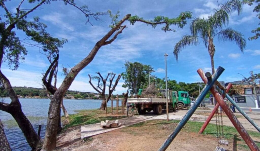 Poda de Árvores e Impacto nas Garças em Lagoa Santa