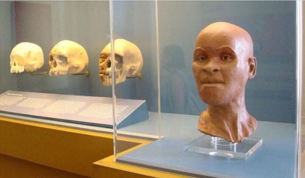 Linha do Tempo: 10 Fatos Históricos de Lagoa Santa 10 Descoberta de Luzia e a consolidação de Lagoa Santa na história da humanidade (2001)