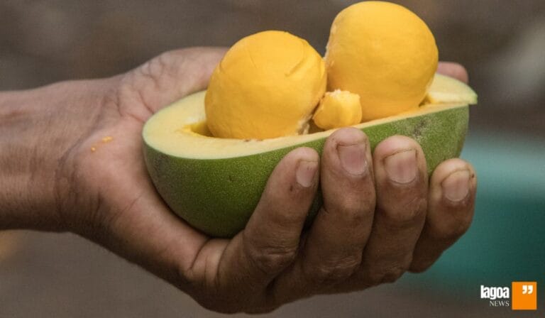 1ª Feira Itinerante da Lapinha: Cultura, Gastronomia e Tradição em Lagoa Santa