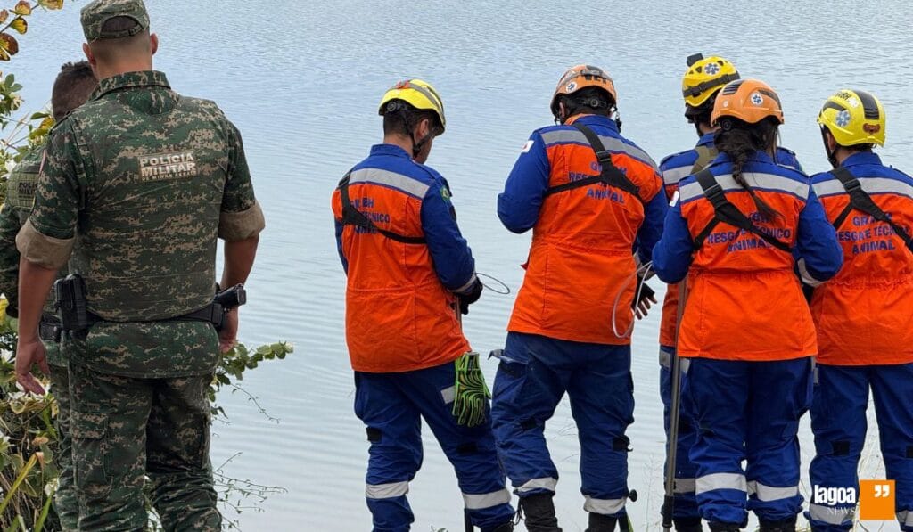Jacaré Alfredo é vítima de ataques com arpões em Lagoa Santa 6 Crime Ambiental Jacaré Alfredo é Atacado em Lagoa Santa