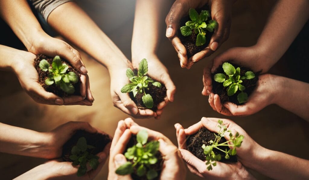 Retrocesso na agenda global de sustentabilidade exige ações urgentes até 2030