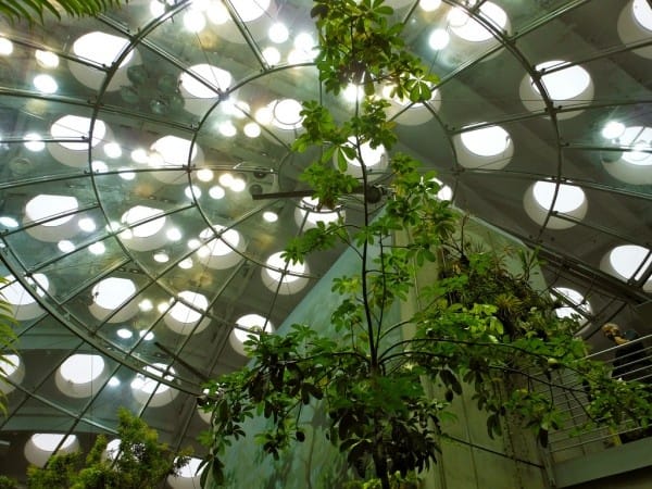 Bioeconomia ganha força: Brasil destina US$ 2,6 bilhões a projetos florestais e indígenas 2 Bioeconomia ganha força: brasil destina US$ 2,6 bilhões a projetos florestais e indígenas