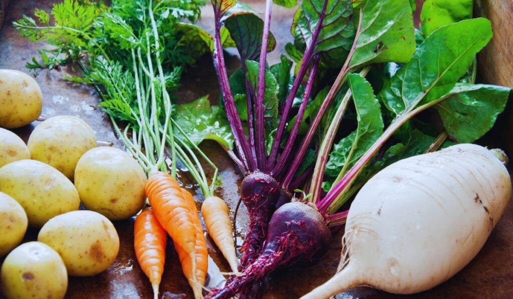 Alimentos da Primavera: frescor e saúde à mesa 6 Alimentos da Primavera - Legumes e raízes