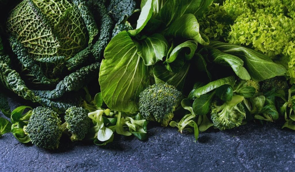 Alimentos da Primavera: frescor e saúde à mesa 7 Alimentos da Primavera - verduras