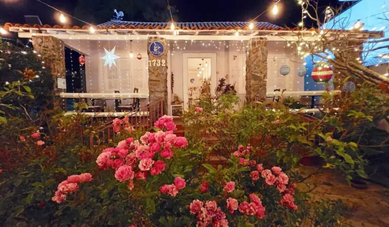 Programação de Natal Ilumina a Orla da Lagoa Santa com Música e Arte neste Fim de Semana